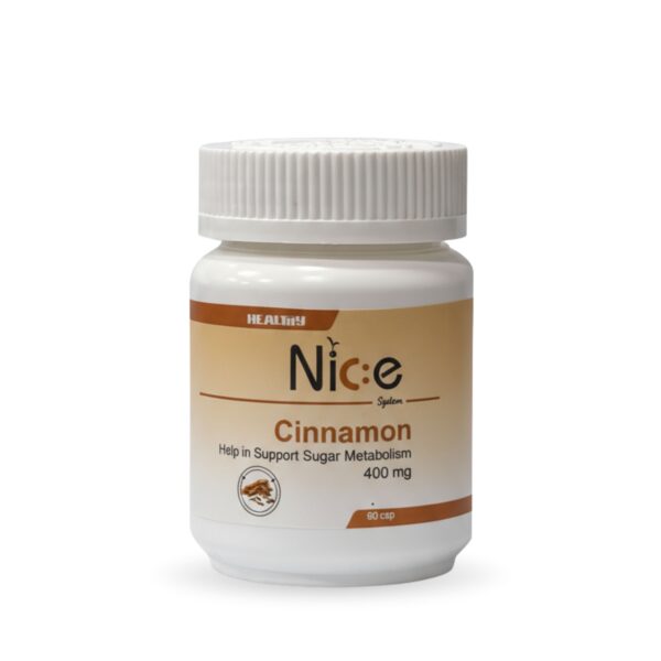 Nice System Cinnamon